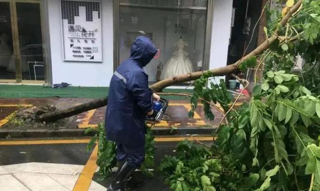 沙瑯鎮(zhèn)：打好防風(fēng)防汛“主動戰(zhàn)”，“小網(wǎng)格”實現(xiàn)“大守護”